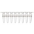 Globe Scientific PCR 8-strip tubes, 0.2mL, PP, natural PK PCR-STR-02F